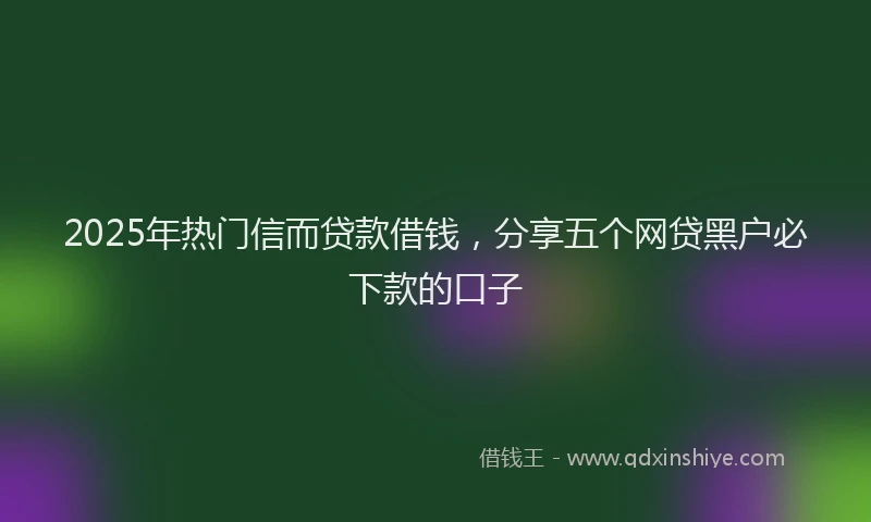 2025年热门信而贷款借钱，分享五个网贷黑户必下款的口子