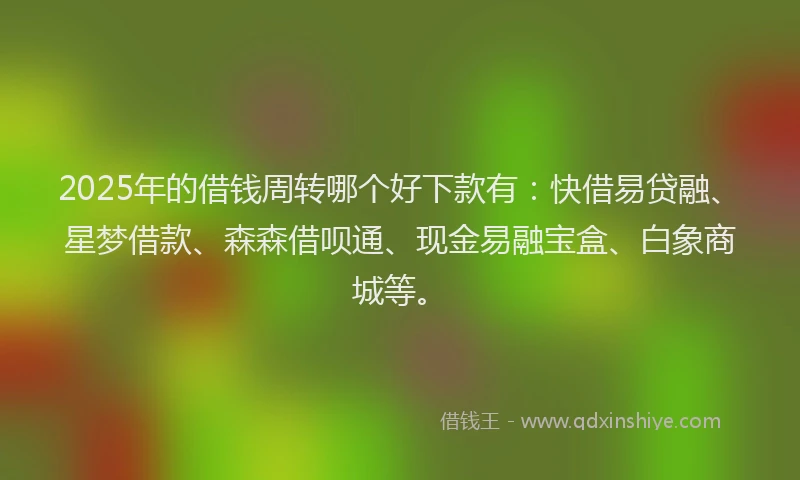 2025年的借钱周转哪个好下款有：快借易贷融、星梦借款、森森借呗通、现金易融宝盒、白象商城等。