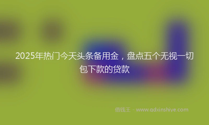 2025年热门今天头条备用金，盘点五个无视一切包下款的贷款