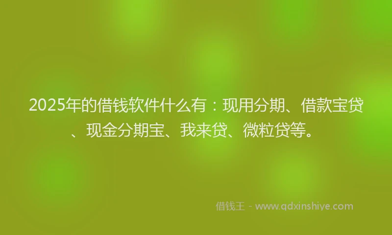 2025年的借钱软件什么有：现用分期、借款宝贷、现金分期宝、我来贷、微粒贷等。