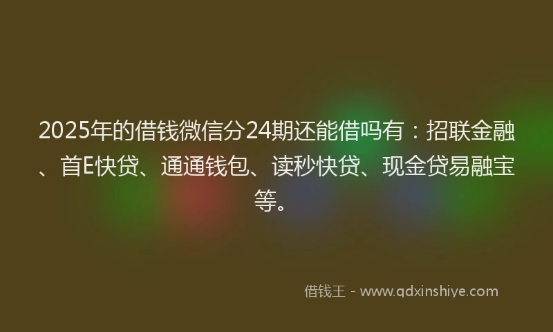 2025年的借钱微信分24期还能借吗有：招联金融、首E快贷、通通钱包、读秒快贷、现金贷易融宝等。