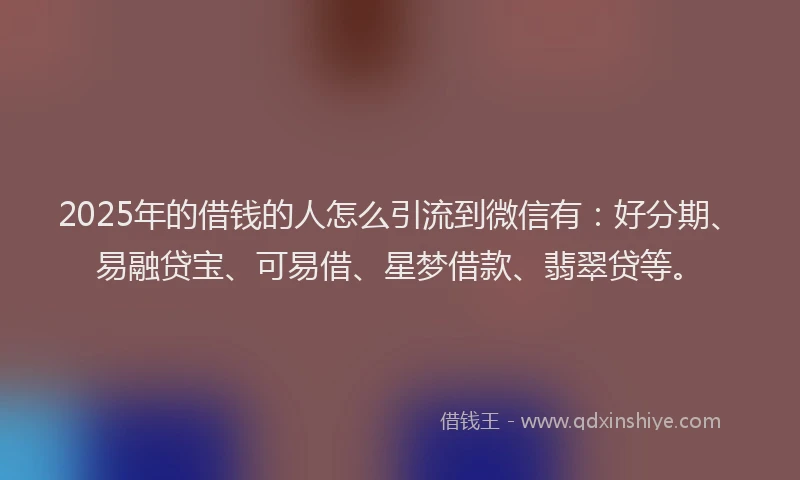 2025年的借钱的人怎么引流到微信有：好分期、易融贷宝、可易借、星梦借款、翡翠贷等。