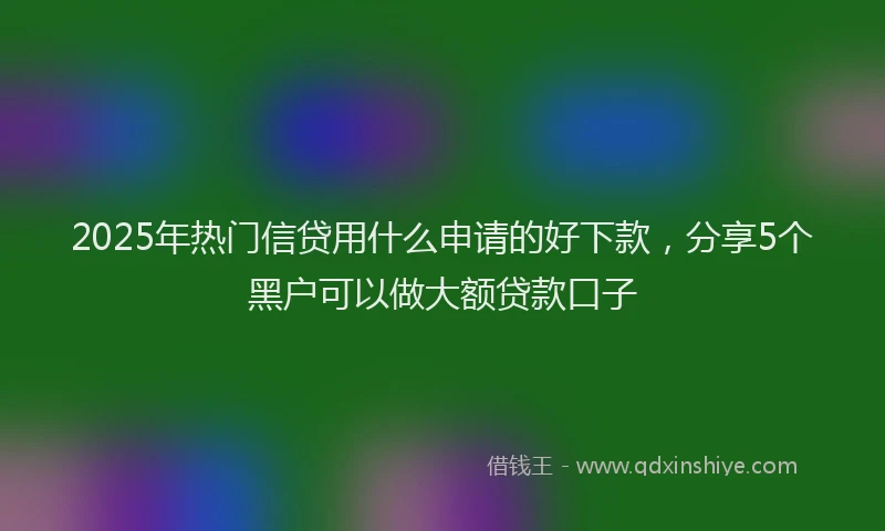 2025年热门信贷用什么申请的好下款，分享5个黑户可以做大额贷款口子