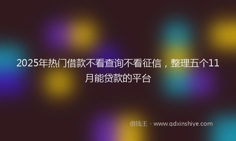 2025年热门借款不看查询不看征信，整理五个11月能贷款的平台