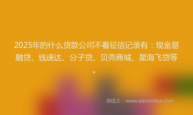 2025年的什么贷款公司不看征信记录有：现金易融贷、钱速达、分子贷、贝壳商城、星海飞贷等。