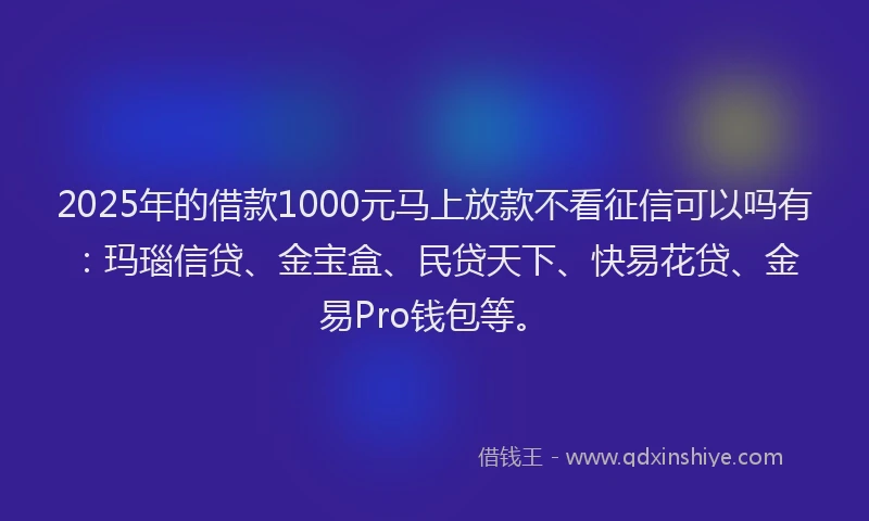 2025年的借款1000元马上放款不看征信可以吗有：玛瑙信贷、金宝盒、民贷天下、快易花贷、金易Pro钱包等。