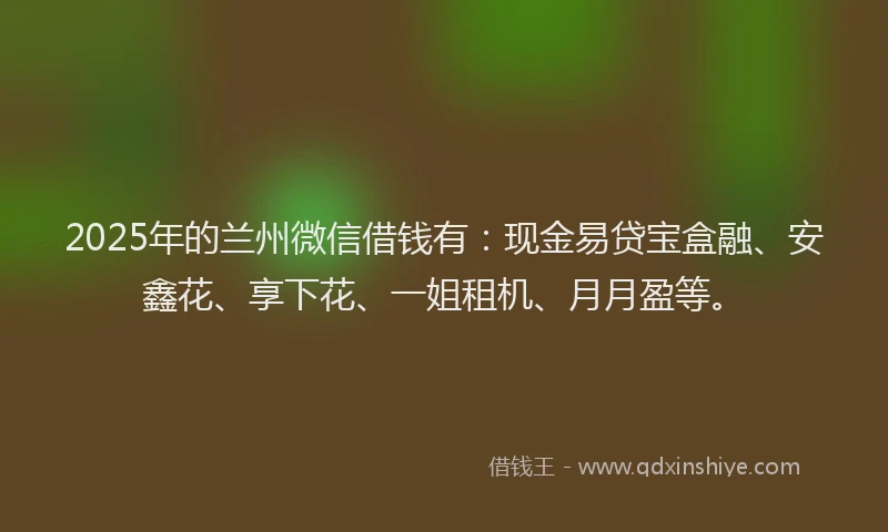 2025年的兰州微信借钱有：现金易贷宝盒融、安鑫花、享下花、一姐租机、月月盈等。