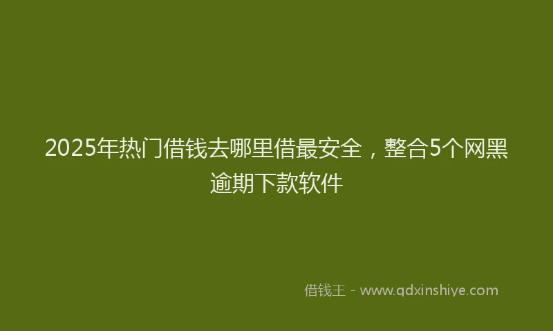 2025年热门借钱去哪里借最安全，整合5个网黑逾期下款软件