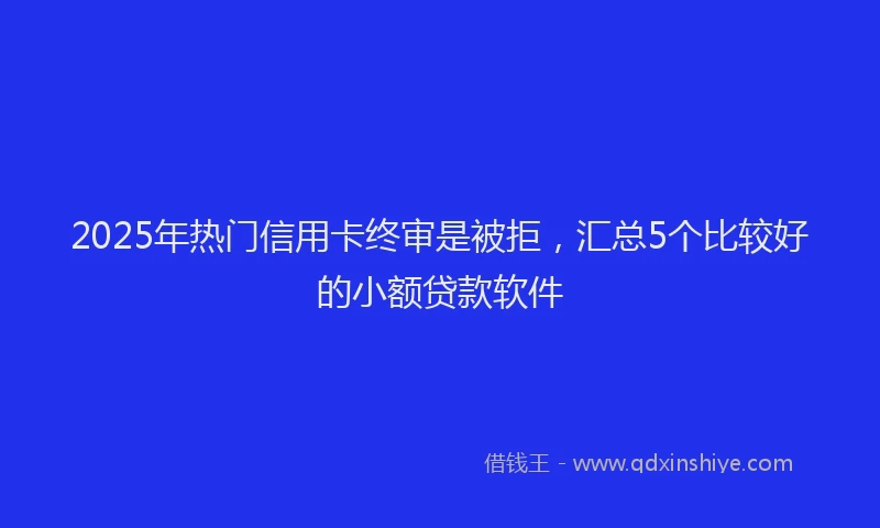2025年热门信用卡终审是被拒，汇总5个比较好的小额贷款软件