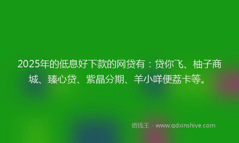 2025年的低息好下款的网贷有：贷你飞、柚子商城、臻心贷、紫晶分期、羊小咩便荔卡等。