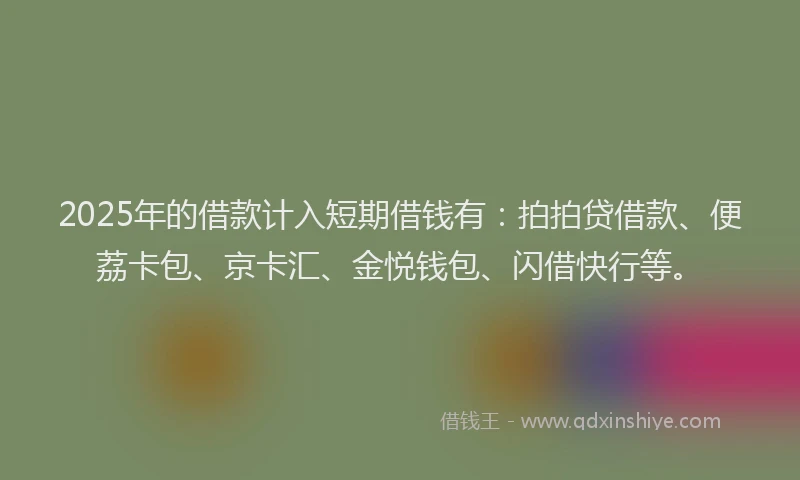 2025年的借款计入短期借钱有：拍拍贷借款、便荔卡包、京卡汇、金悦钱包、闪借快行等。