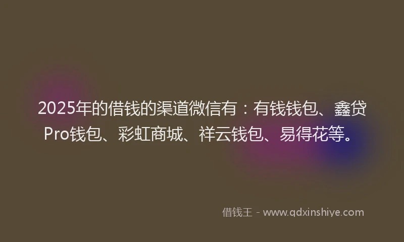 2025年的借钱的渠道微信有：有钱钱包、鑫贷Pro钱包、彩虹商城、祥云钱包、易得花等。