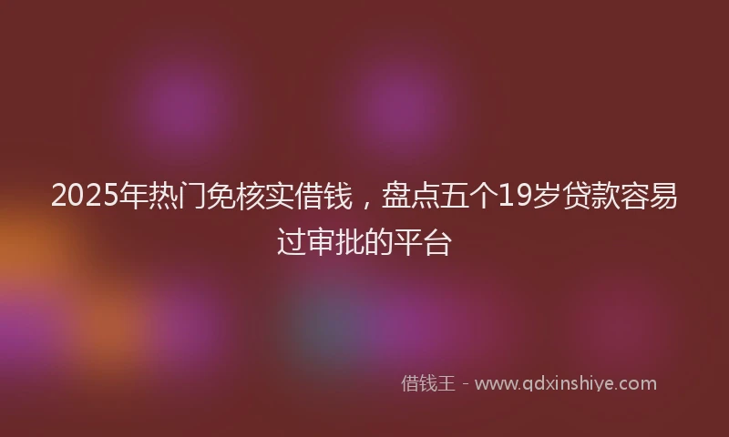 2025年热门免核实借钱，盘点五个19岁贷款容易过审批的平台