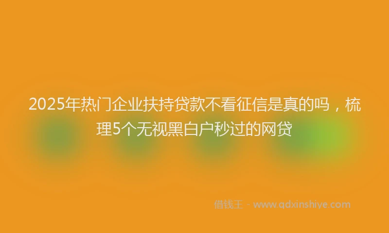 2025年热门企业扶持贷款不看征信是真的吗，梳理5个无视黑白户秒过的网贷