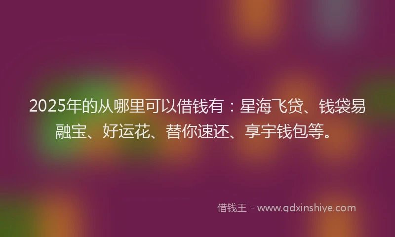 2025年的从哪里可以借钱有：星海飞贷、钱袋易融宝、好运花、替你速还、享宇钱包等。