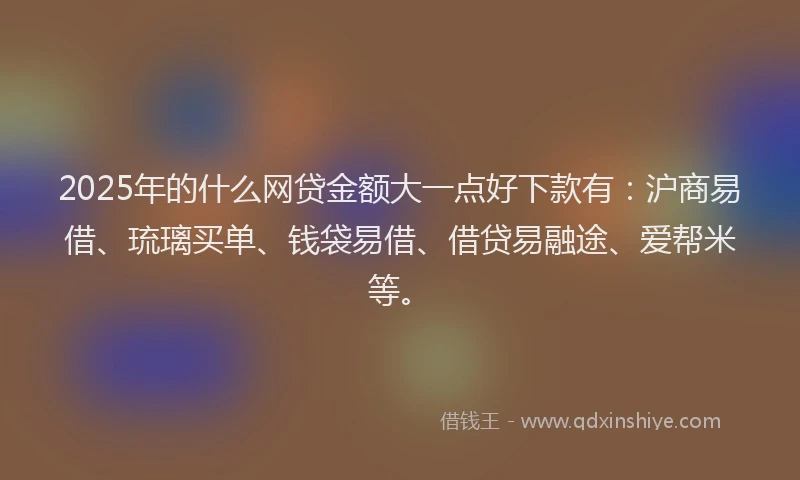 2025年的什么网贷金额大一点好下款有：沪商易借、琉璃买单、钱袋易借、借贷易融途、爱帮米等。