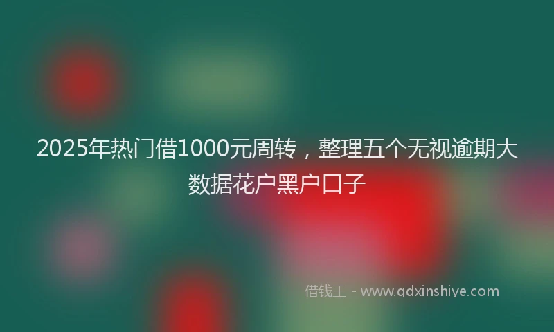 2025年热门借1000元周转，整理五个无视逾期大数据花户黑户口子