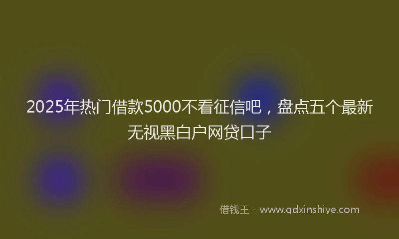 2025年热门借款5000不看征信吧，盘点五个最新无视黑白户网贷口子