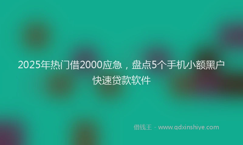2025年热门借2000应急，盘点5个手机小额黑户快速贷款软件