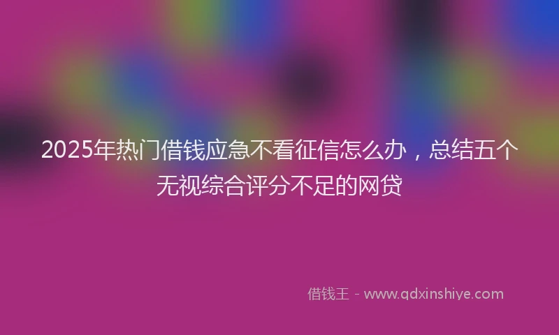 2025年热门借钱应急不看征信怎么办，总结五个无视综合评分不足的网贷