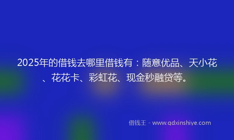 2025年的借钱去哪里借钱有：随意优品、天小花、花花卡、彩虹花、现金秒融贷等。