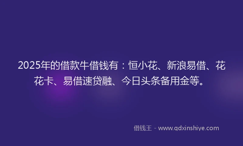 2025年的借款牛借钱有：恒小花、新浪易借、花花卡、易借速贷融、今日头条备用金等。