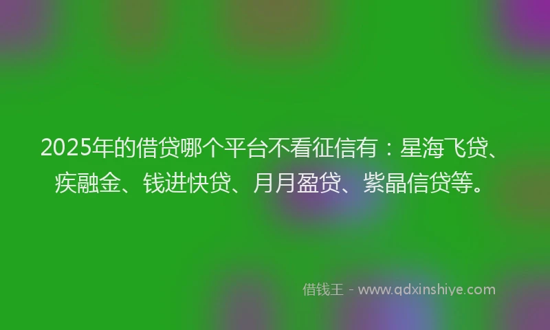 2025年的借贷哪个平台不看征信有：星海飞贷、疾融金、钱进快贷、月月盈贷、紫晶信贷等。
