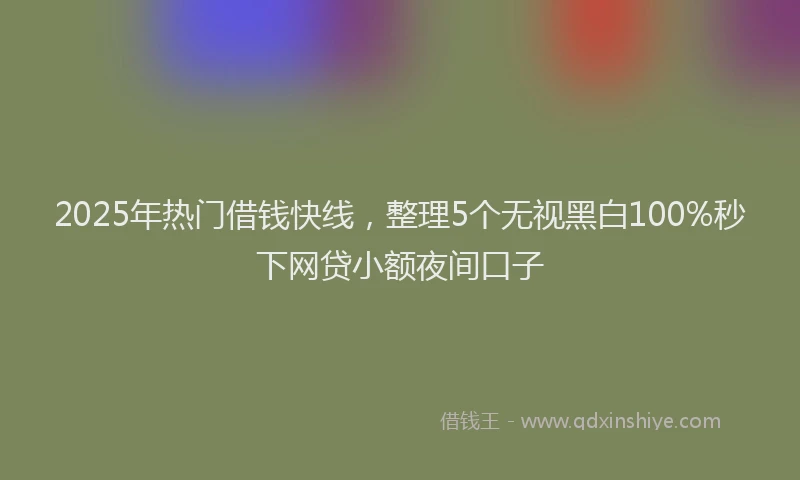 2025年热门借钱快线，整理5个无视黑白100%秒下网贷小额夜间口子
