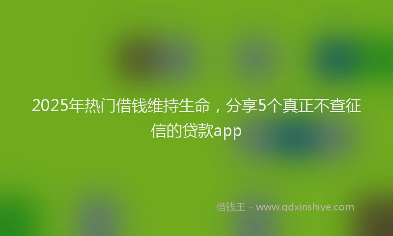 2025年热门借钱维持生命，分享5个真正不查征信的贷款app