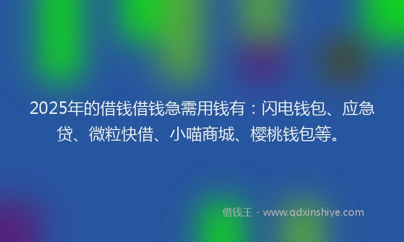 2025年的借钱借钱急需用钱有：闪电钱包、应急贷、微粒快借、小喵商城、樱桃钱包等。