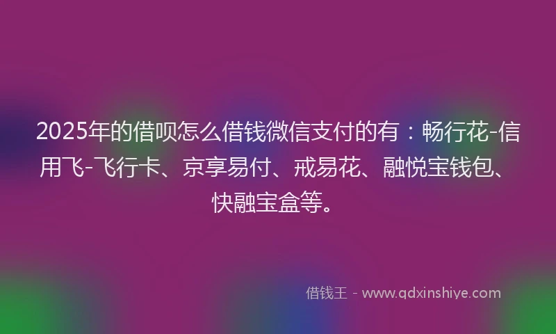 2025年的借呗怎么借钱微信支付的有：畅行花-信用飞-飞行卡、京享易付、戒易花、融悦宝钱包、快融宝盒等。