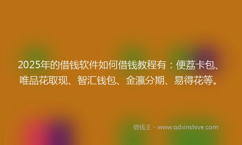 2025年的借钱软件如何借钱教程有：便荔卡包、唯品花取现、智汇钱包、金瀛分期、易得花等。