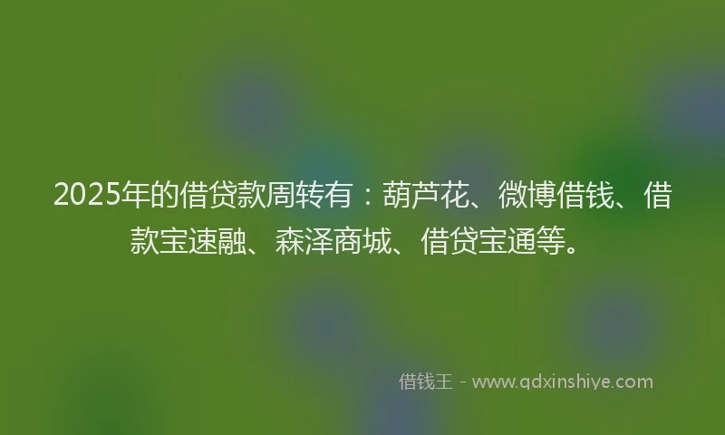 2025年的借贷款周转有：葫芦花、微博借钱、借款宝速融、森泽商城、借贷宝通等。
