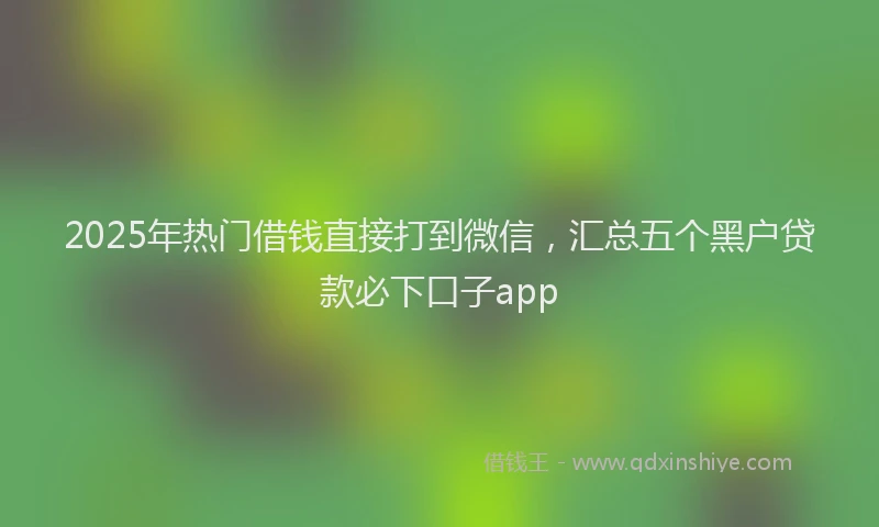 2025年热门借钱直接打到微信，汇总五个黑户贷款必下口子app