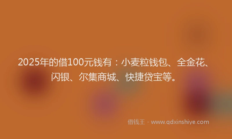 2025年的借100元钱有：小麦粒钱包、全金花、闪银、尔集商城、快捷贷宝等。