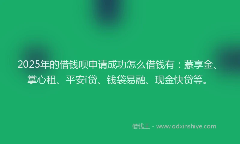 2025年的借钱呗申请成功怎么借钱有：蒙享金、掌心租、平安i贷、钱袋易融、现金快贷等。
