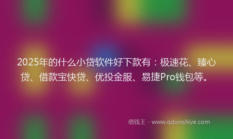 2025年的什么小贷软件好下款有：极速花、臻心贷、借款宝快贷、优投金服、易捷Pro钱包等。