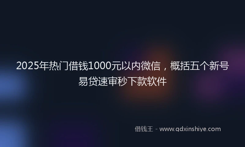 2025年热门借钱1000元以内微信，概括五个新号易贷速审秒下款软件
