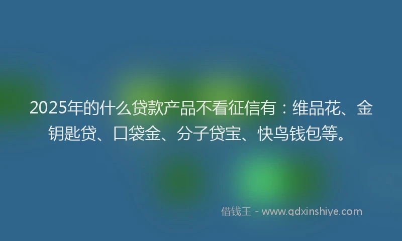 2025年的什么贷款产品不看征信有：维品花、金钥匙贷、口袋金、分子贷宝、快鸟钱包等。