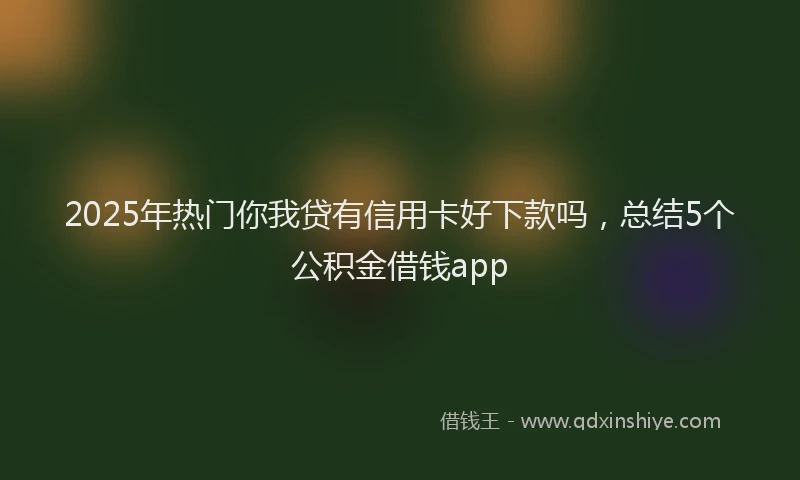 2025年热门你我贷有信用卡好下款吗，总结5个公积金借钱app