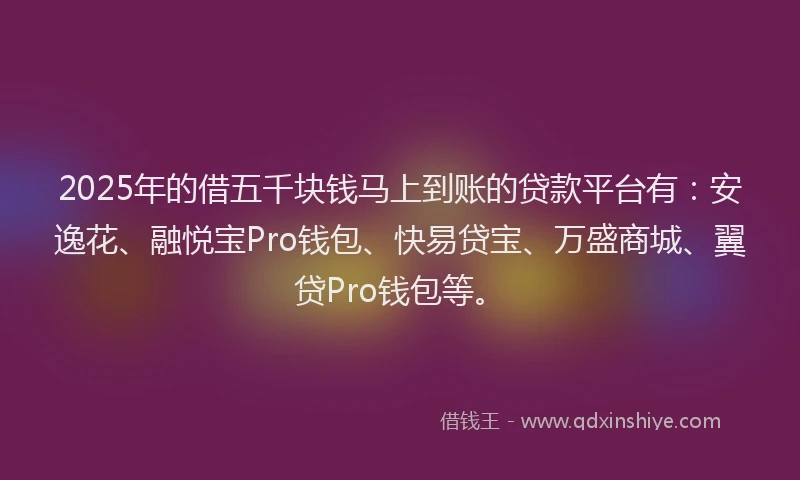 2025年的借五千块钱马上到账的贷款平台有：安逸花、融悦宝Pro钱包、快易贷宝、万盛商城、翼贷Pro钱包等。