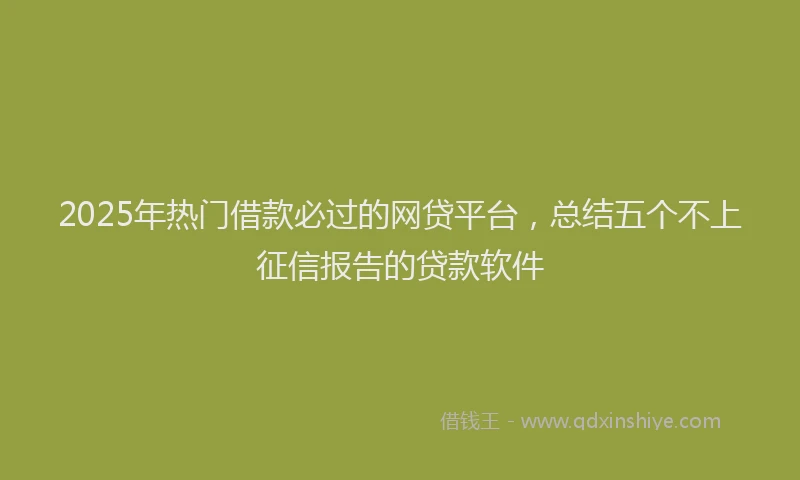 2025年热门借款必过的网贷平台，总结五个不上征信报告的贷款软件
