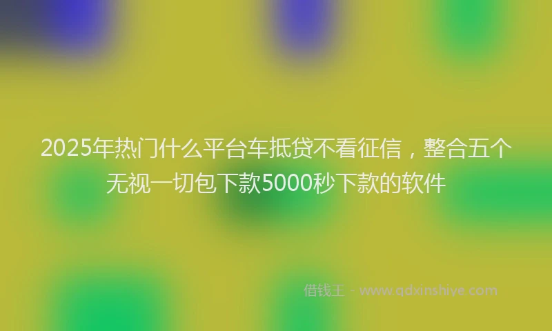 2025年热门什么平台车抵贷不看征信，整合五个无视一切包下款5000秒下款的软件