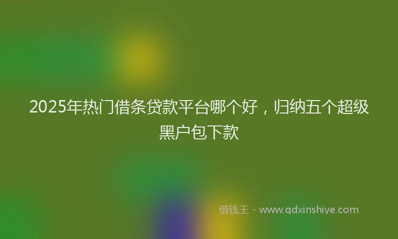 2025年热门借条贷款平台哪个好，归纳五个超级黑户包下款