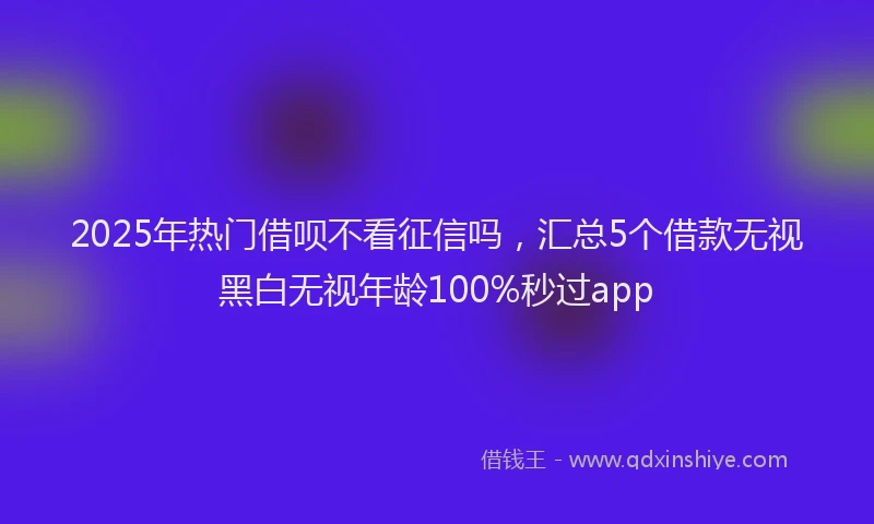 2025年热门借呗不看征信吗，汇总5个借款无视黑白无视年龄100%秒过app