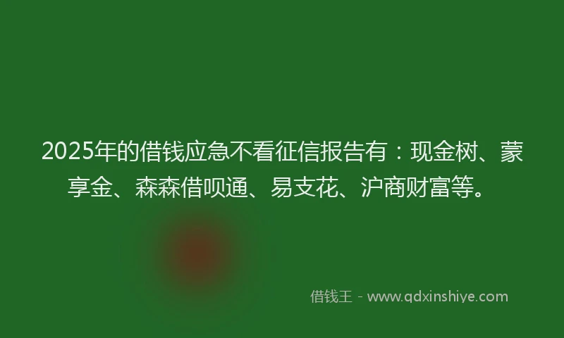 2025年的借钱应急不看征信报告有：现金树、蒙享金、森森借呗通、易支花、沪商财富等。