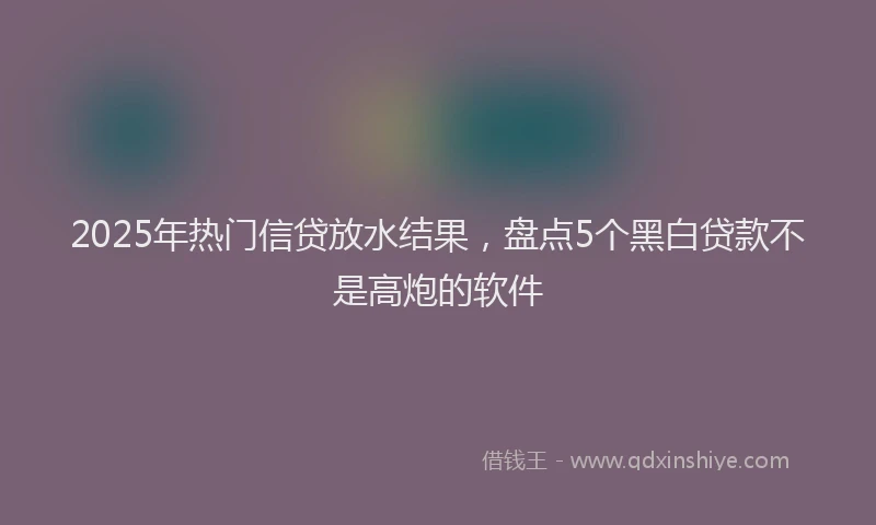 2025年热门信贷放水结果，盘点5个黑白贷款不是高炮的软件