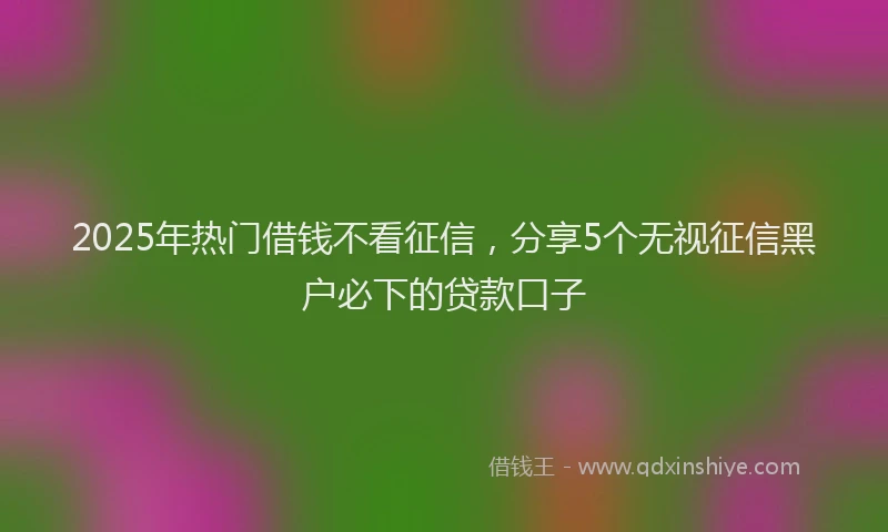 2025年热门借钱不看征信，分享5个无视征信黑户必下的贷款口子