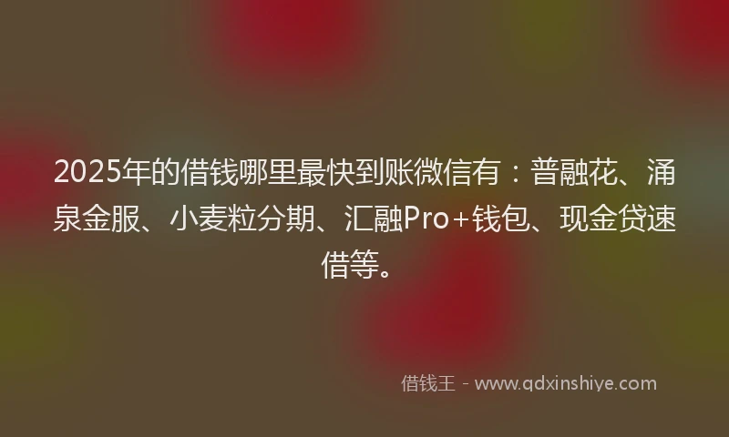 2025年的借钱哪里最快到账微信有：普融花、涌泉金服、小麦粒分期、汇融Pro+钱包、现金贷速借等。