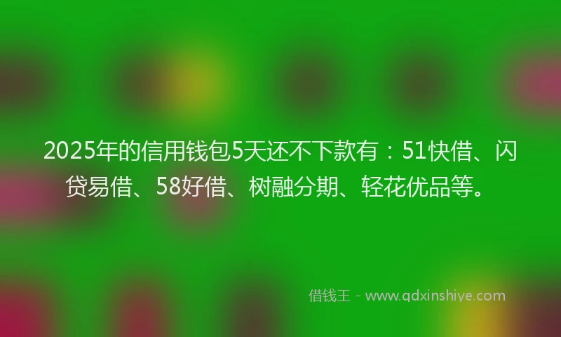 2025年的信用钱包5天还不下款有：51快借、闪贷易借、58好借、树融分期、轻花优品等。